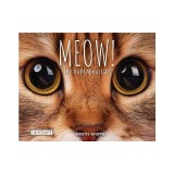 Meow! the Truth about Cats
