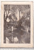 bnk foto Pereche in Parcul municipal Roman - interbelica