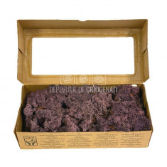 Licheni Decorativi Stabilizati 500gr - Violet (marca Verdissimo)