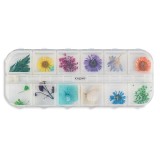 Flori naturale set 12 Way Out