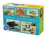 Animale din continente
