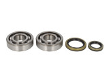 Cumpara ieftin Lagare cu arbore cotit set cu garnituri pentru SUZUKI RM 250 1996-2002