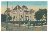 5115 - BOTOSANI, Justice Palace, Romania - old postcard - unused