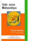 Cele zece Mahavidya - David Kinsley - Editura MIX