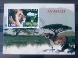 Cumpara ieftin Cuba 2011 leu fauna animale sălbatice bloc stampilat