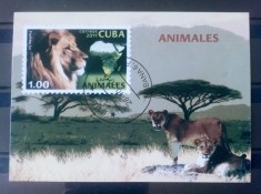 Cuba 2011 leu fauna animale sălbatice bloc stampilat