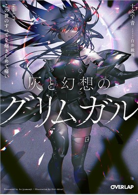 Grimgar of Fantasy and Ash (Light Novel) Vol. 19 foto