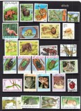 Fauna, lot uzat, stampilat