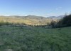 Teren extravilan cu padure proprie