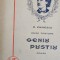 M. Eminescu, Opere postume - Geniu pustiu