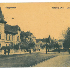 182 - SIBIU, Market, Romania - old postcard - used - 1918