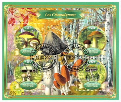 MADAGASCAR 2022 - Ciuperci / set complet colita + bloc foto