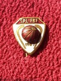 Insigna fotbal - Federatia de Fotbal din FINLANDA