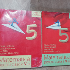 CLUBUL MATEMATICIENILOR: Matematică pentru clasa a V-a (I + II) -Cătălin Stănică