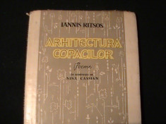 ARHITECTURA COPACILOR-IANNIS RITSOS-POEME-TRAD. NINA CASIAN- foto