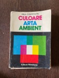 Paul Constantin - Culoare. Arta. Ambient