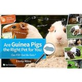 Are Guinea Pigs the Right Pet for You