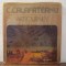 C. Calafateanu: Art Journey - Petre Oprea