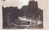 Cumpara ieftin Bucuresti. Parcul Carol (circulata 1931)