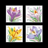 ✅RO 2022 LP 2359 &quot; Br&acirc;ndușe / Crocuses&quot; , flori , serie , MNH, Nestampilat