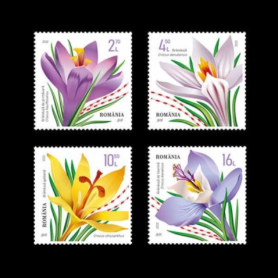 ✅RO 2022 LP 2359 &amp;quot; Br&amp;acirc;ndușe / Crocuses&amp;quot; , flori , serie , MNH foto