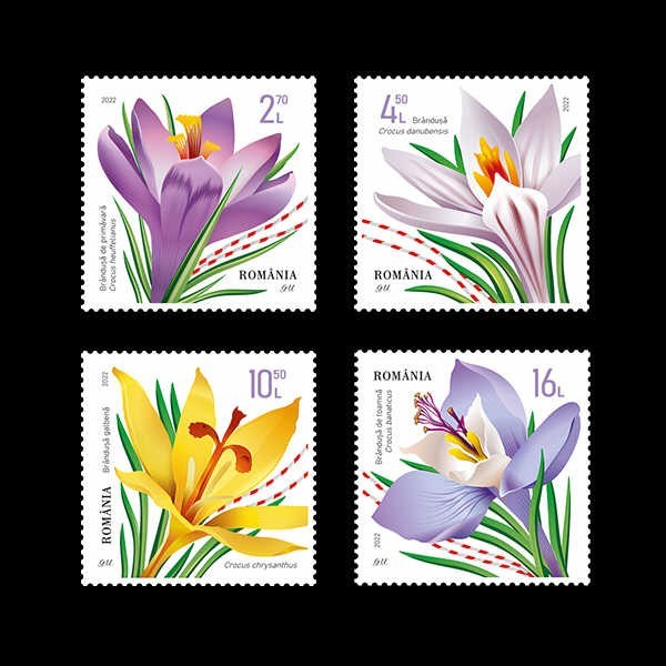 ✅RO 2022 LP 2359 &quot; Br&acirc;ndușe / Crocuses&quot; , flori , serie , MNH