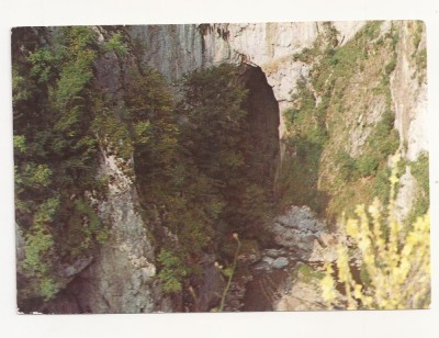 RF22 -Carte Postala- Pestera Topolnita, necirculata foto