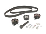 Kit distributie Ina 530048410