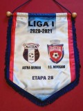 Fanion (oficial-protocol) meci fotbal ASTRA GIURGIU - FC BOTOSANI (etapa nr.28 sezonul 2020/2021)