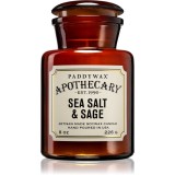 Paddywax Apothecary Sea Salt &amp; Sage lum&acirc;nare parfumată 226 g