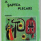 A SAPTEA PLECARE, roman de LOLY CLIMESCU , 1996