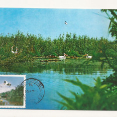 CA9 -Carte Postala- Peisaj din Delta Dunarii ,circulata 1979