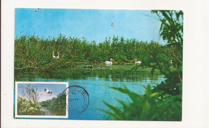 CA9 -Carte Postala- Peisaj din Delta Dunarii ,circulata 1979