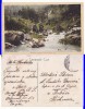 Carte Postala Resita Valea Domanului, Banat, Romania, Circulata, 9x14 cm, 1904-1918
