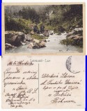 Carte Postala Resita Valea Domanului, Banat, Romania, Circulata, 9x14 cm, 1904-1918