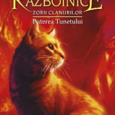 Pisicile razboinice Vol.26: Puterea tunetului - Erin Hunter