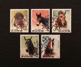 Serie Completă 5 Timbre Coreea de Nord DPRK 1991 Equide Cai Măgar Catar Cal Sălbatic Przewalski Ștampilate - A992
