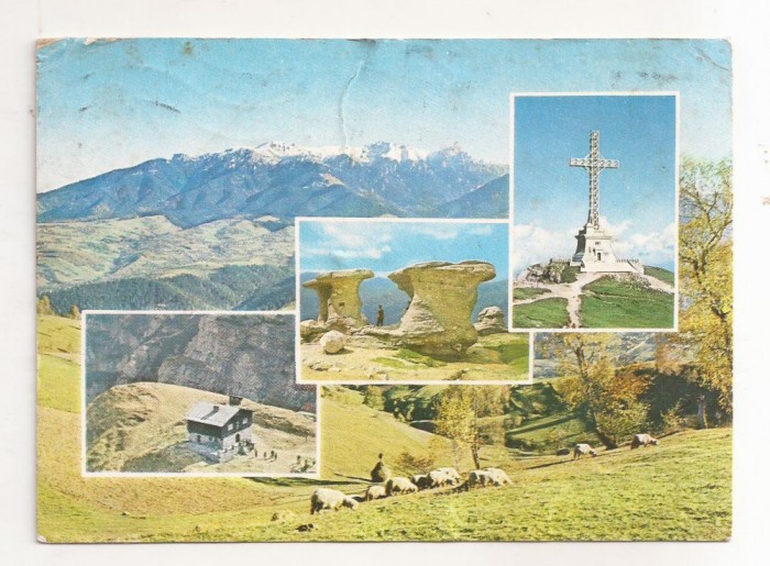 RF53 -Carte Postala- Muntii Bucegi, circulata 1976