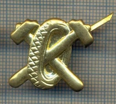 Y 1760 INSIGNA - MILITARA -SEMN DE ARMA - AUTO -PENTRU COLECTIONARI foto