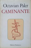 CAMINANTE-OCTAVIAN PALER-349350