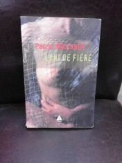 LUNI DE FIERE - PASCAL BRUCKNER