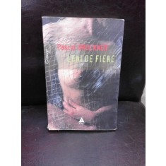 LUNI DE FIERE - PASCAL BRUCKNER