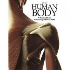 The Human Body | Profesor Peter Abrahams