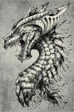 Cumpara ieftin Covor Model Dragon 11611-190, Marime 120 x 170 cm, Gri, Inaltime Fir 9 mm, Antialergic, Polipropilena, Living, Dormitor, Sufragerie, Birou