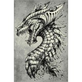 Covor Model Dragon 11611-190, Marime 120 x 170 cm, Gri, Inaltime Fir 9 mm, Antialergic, Polipropilena, Living, Dormitor, Sufragerie, Birou