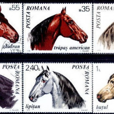 C1131 - Romania 1970 - Cai 6v..stampilat,serie completa