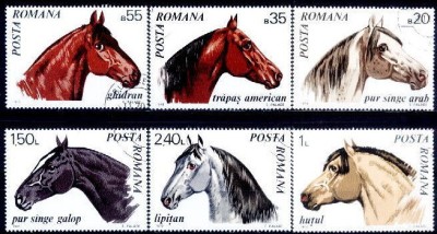 C1131 - Romania 1970 - Cai 6v..stampilat,serie completa foto
