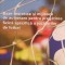 BAZE TEORETICE SI MIJLOACE DE ACTIONARE PENTRU PREGATIREA FIZICA SPECIFICA A JUCATORILOR DE FOTBAL-GHEORGHE-246600