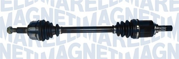 MAGNETI MARELLI 302004190250 Planetara