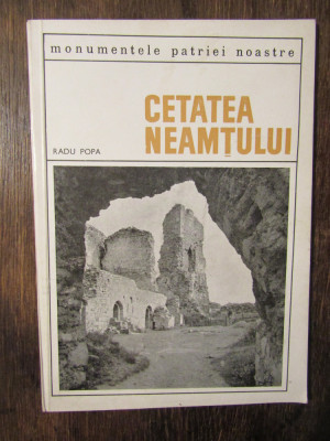 Cetatea Neamțului - Radu Popa foto